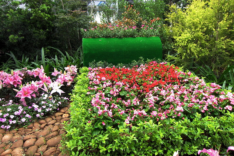 flowerbed, colorful, bonito, lilium, HD wallpaper