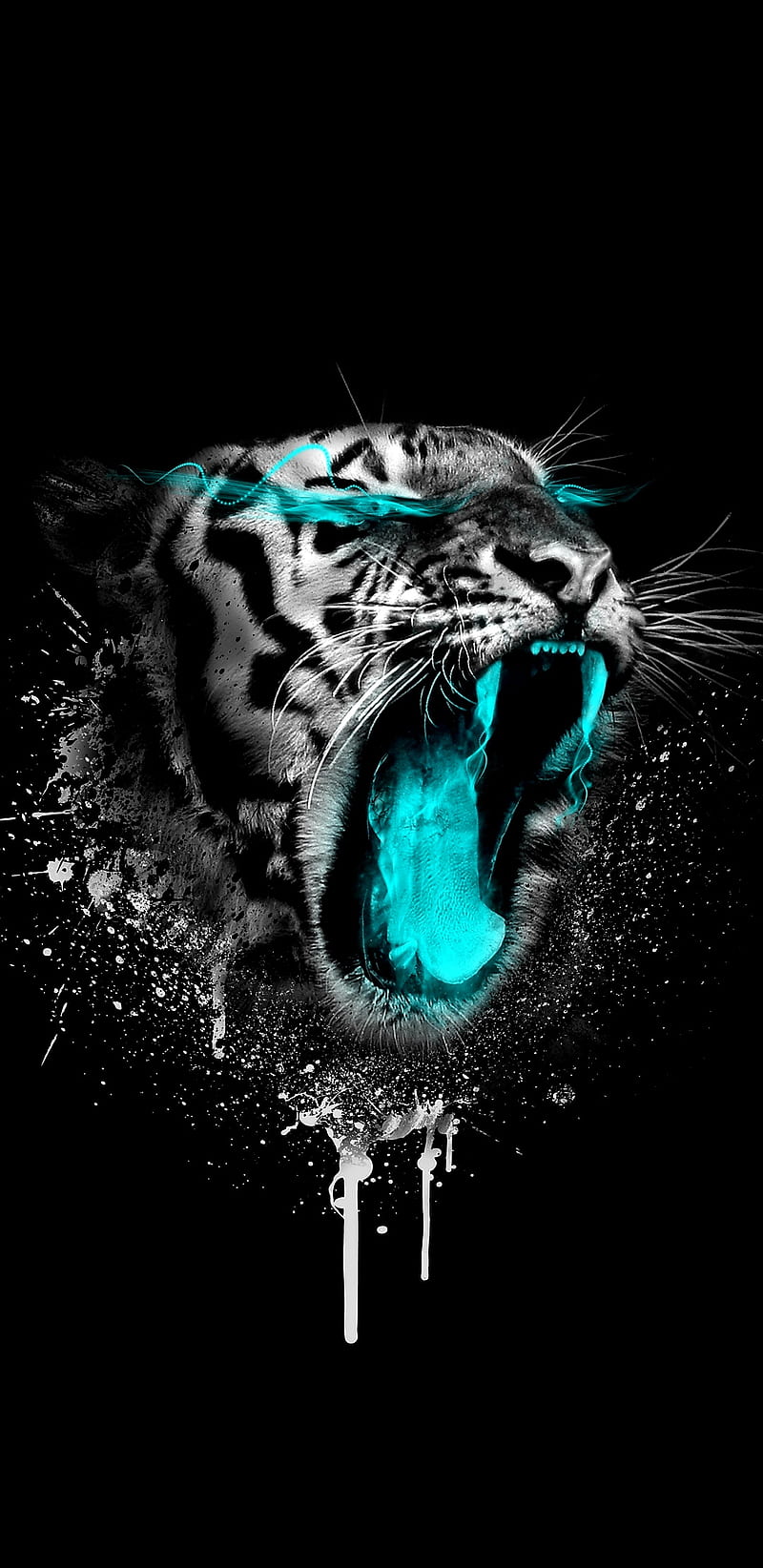 Tiger, angry, cyan tongue, cyan eye, HD phone wallpaper