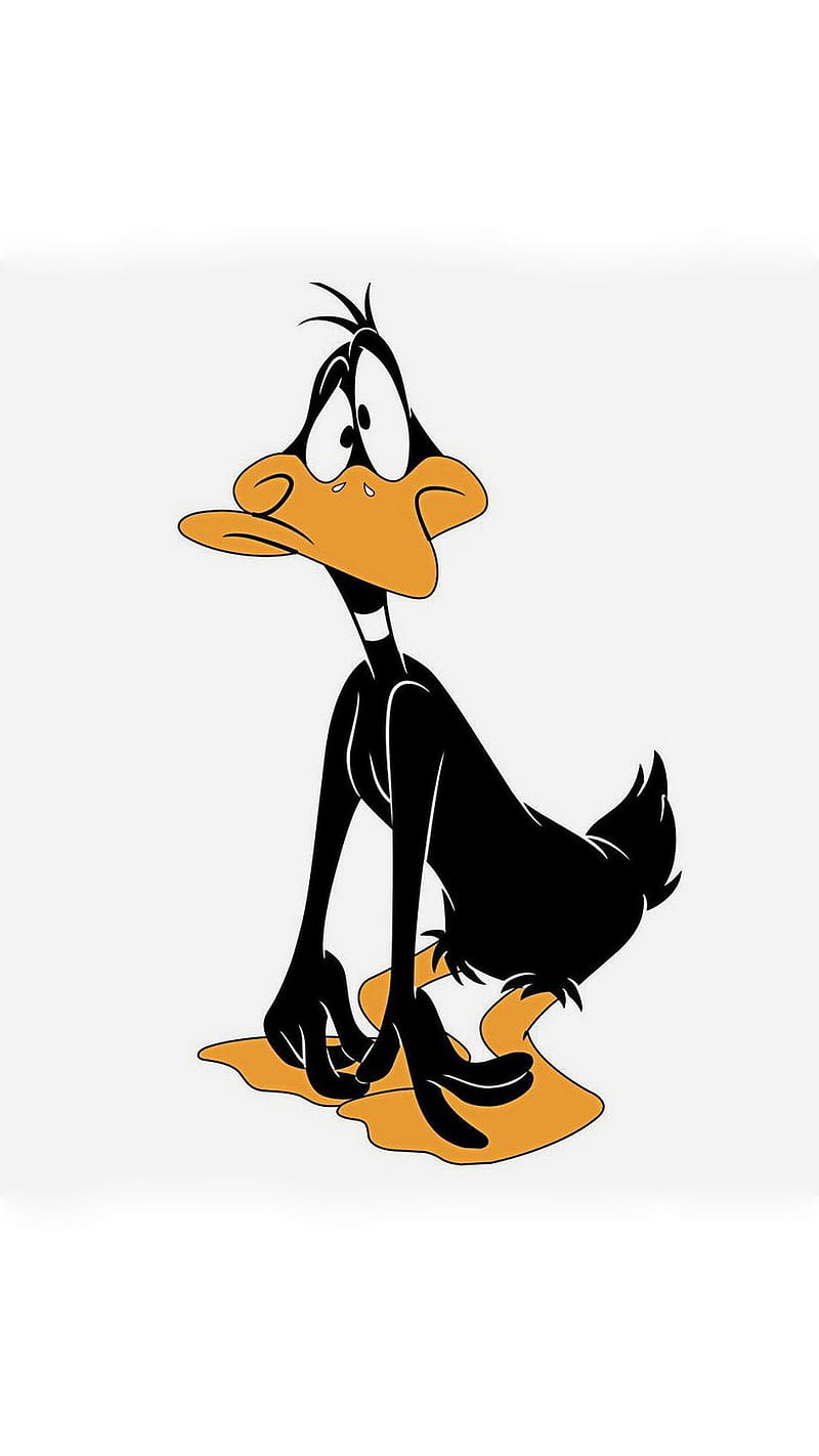 Daffy duck, dodo duck, cartoon, looney tunes, funny, HD phone wallpaper |  Peakpx