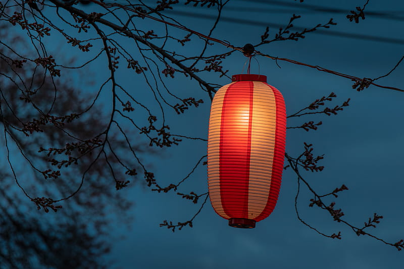 Chinese Lantern, chinese, lantern, blue, red, light, night, HD wallpaper