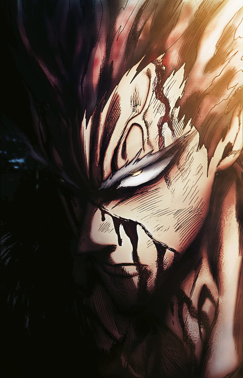 40 Garou OnePunch Man HD Wallpapers and Backgrounds