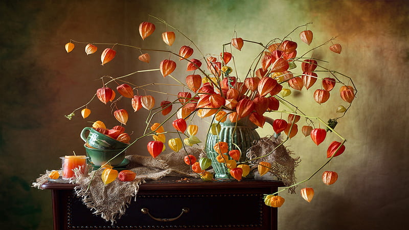 graphy, Still Life, Flower, Vase, HD wallpaper