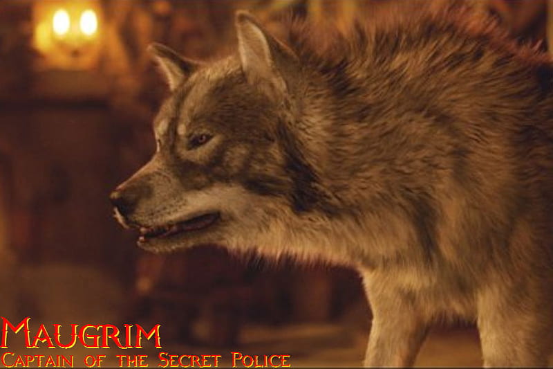 Maugrim, The Chronicles of Narnia, chronicles of narnia, fantasy, wolf, narnia, HD wallpaper