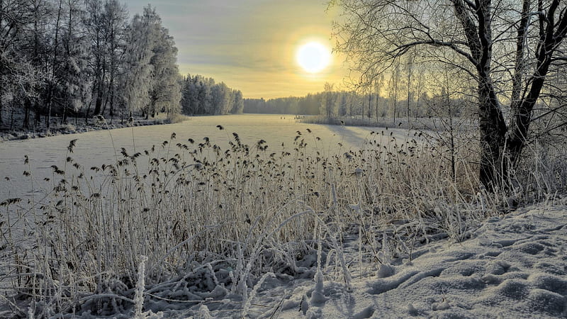 winter, bright sun, snow, lake, HD wallpaper
