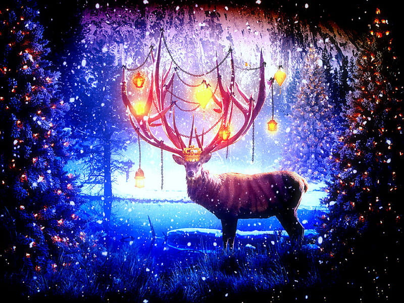 Reindeer in Christmas, holidays, attractions in dreams, digital art, xmas and new year, fantasy, manipulation, reindeer, light, animals, lanterns, lamps, love four seasons, chains, butterflies, christmas trees, winter, cobweb, bird, snow, HD wallpaper