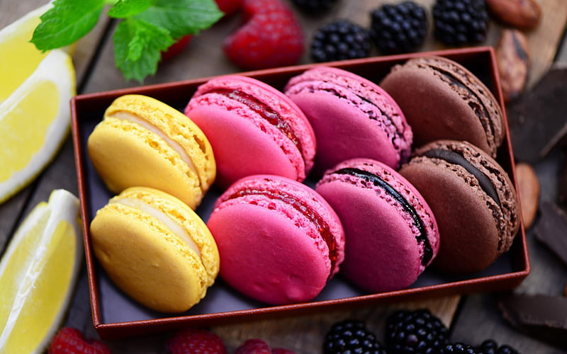 Macaroons, sweet cakes, biscuits, pastries, dessert, colorful biscuits, HD wallpaper