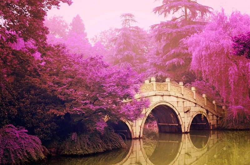 A purple Haze, purplehaze, purple, trees, bridge, HD wallpaper | Peakpx