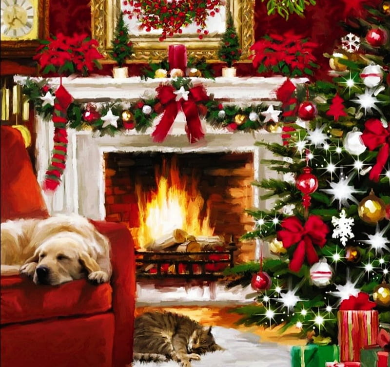 Christmas time nap, tree, furnace, christmas, firre, nap, cat, dog, HD wallpaper