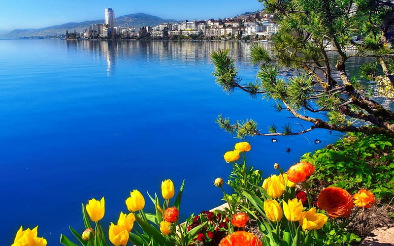 Lake Geneva-Montreux, shore, town, bonito, Switzerland, spring, lake, water, Geneva, summer, flowers, village, blue, HD wallpaper