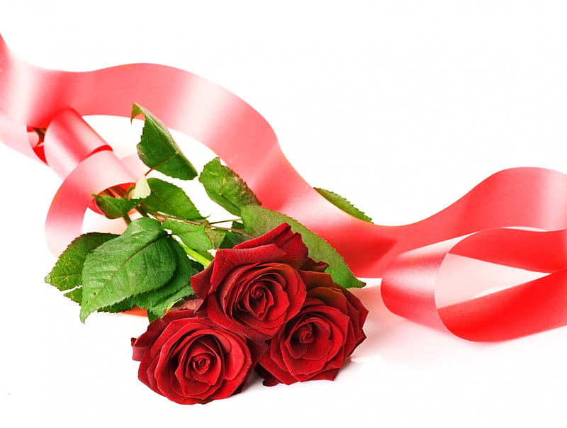 Roses with love, red, pretty, lovely, holiday, ribbon, bonito, valentine, roses, nice, bouquet, love, HD wallpaper