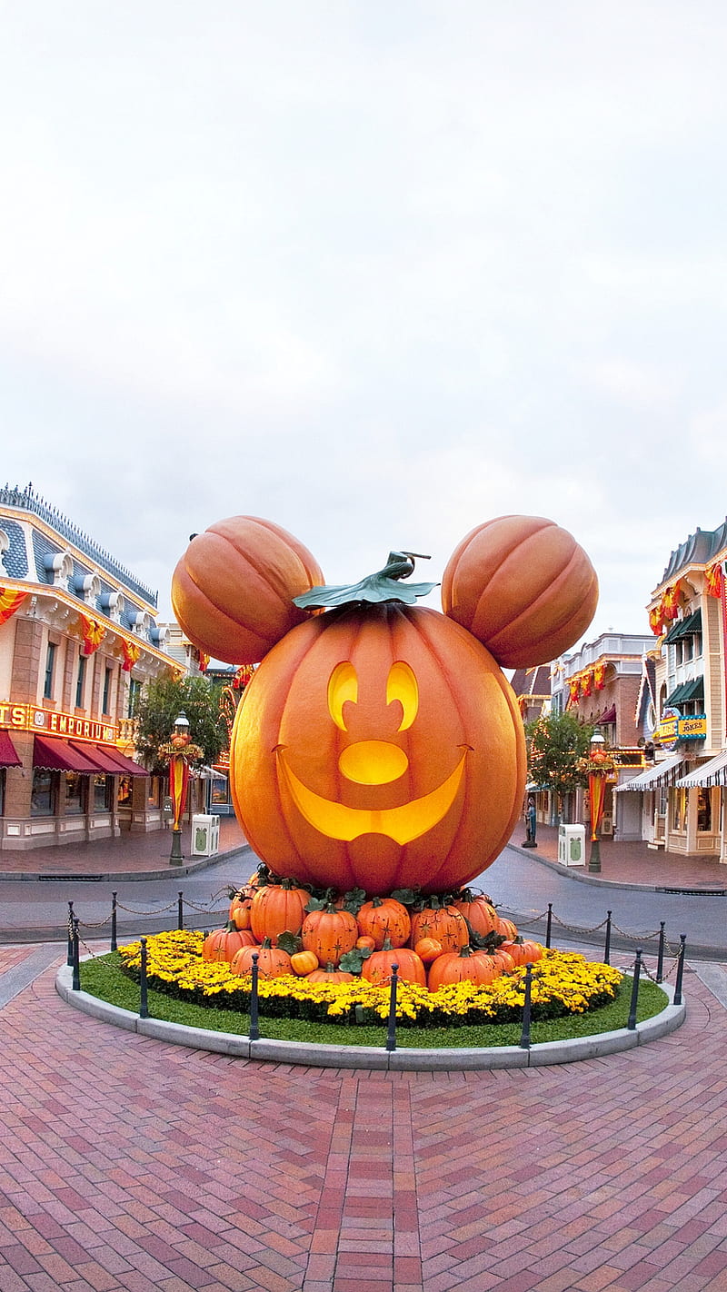 Disney Halloween, pumpkins, halloween , halloween pumkin, halloween theme, pumpkin, HD phone wallpaper