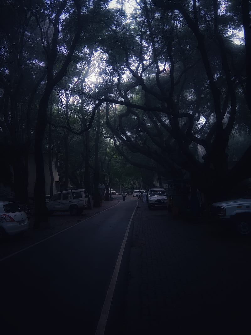 Calle de noche, black, blue, sky, infinity, luz, dark, road, HD