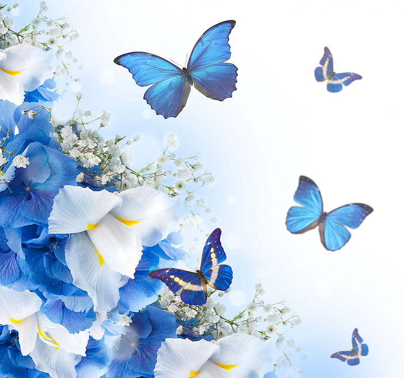 Flores y mariposas, flor, flores, mariposas, blanco, azul, Fondo de  pantalla HD | Peakpx