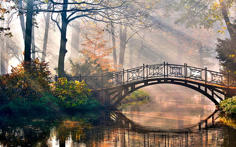 RAYS OF MORNING LIGHT, emotions, fog, magic bridge, elegance, nice, loveliness, bright, vegetation, best, delight, park, sunrays, rays, rays of light, style, stylish, peaceful place, charm, bonito, superb, leaves, delightfully, bridge, scenery, gorgeous, quiet place, forest, marvelous, mist, tree, attraction, dark, nature, scene, architecture, pretty, wonderful, stunning, plant, magic, sweet, fascination, challenging, excited, beauty, forests, morning, reflection, harmony, lovely, romance, bridges, leave, trees, cute, water, paradisaic, cool, sunshine, landscape, colorful, special, autumn, elegant, clear , harmonious, graphy, royal, river, amazing, view, romantic, sunlight, place, colors, extraordinary, delicate, leaf, charming, plants, attractive, HD wallpaper