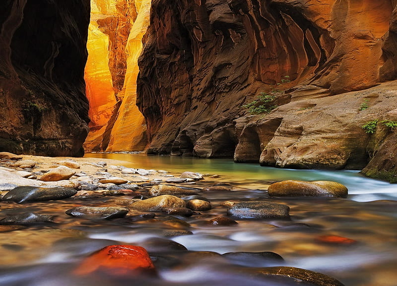 The Inner Canyon Glow, Zion Narrows, red, rocks, golden, bonito, creek ...