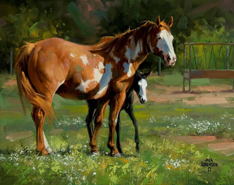 jack sorenson, cal, art, brown, painting, pictura, horse, HD wallpaper
