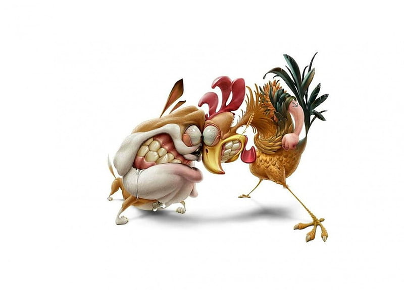 Fight, rooster, art, chicken, creative, animal, card, oscar ramos, bird,  child, HD wallpaper | Peakpx