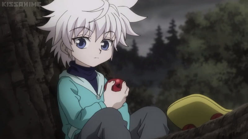 Hunter x hunter, adorable, cute, HD phone wallpaper