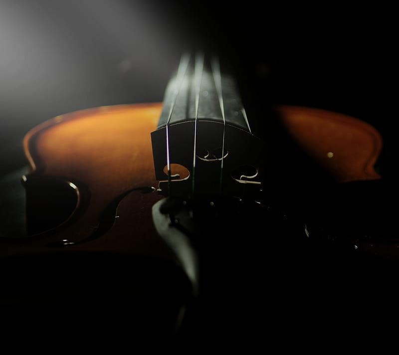 violin, dark, HD wallpaper