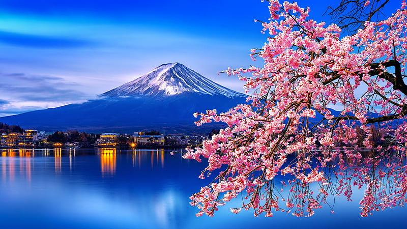 View of Fuji mountain, dusk, blossoms, Fuji, sky, cherry, japan, ocean, mountain, tree, peak, reflections, HD wallpaper