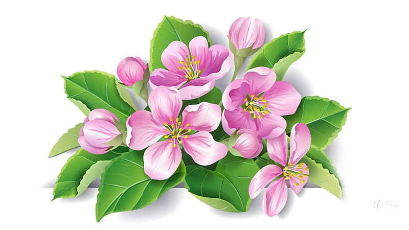Cherry Blossoms, sakura, summer, flowers, spring, plum blossoms, HD wallpaper