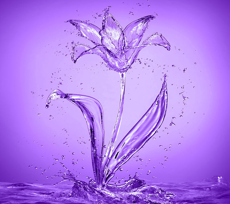 Aqua Flower, abstract, purple, splash, water, HD wallpaper
