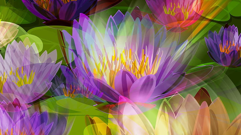Lotus flowers, art, lotus, vivid, cg, 3d and cg, colors, bonito, abstract,  enchanting, HD wallpaper | Peakpx