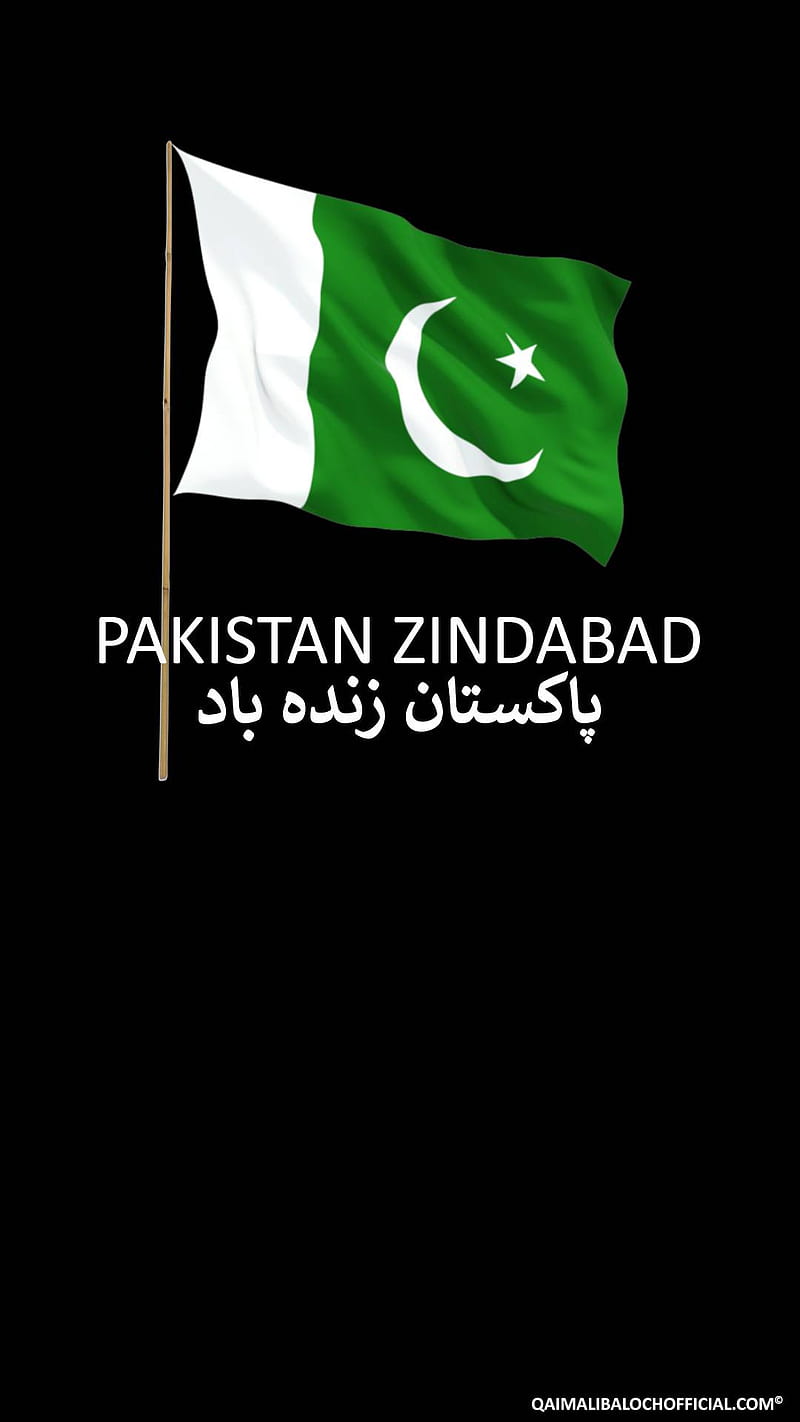 Pakistan Zindabad, pakistan, flag, HD phone wallpaper
