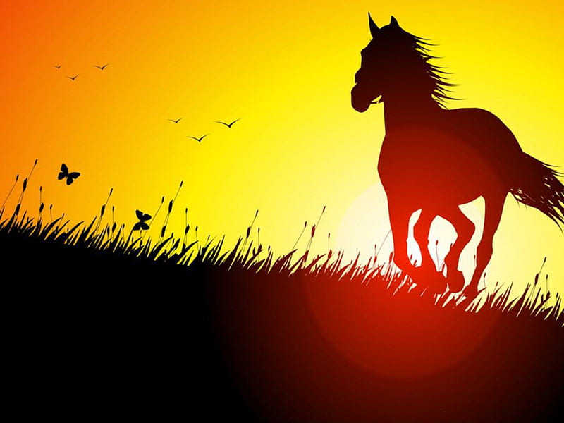 Sunset Horse, sun glare, galloping, sunset, horse, animals, HD wallpaper