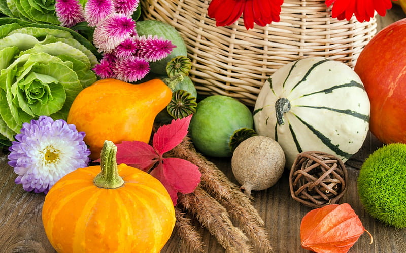 *** Autumn harvest ***, harvest, autumn, nature, vegetables, HD wallpaper