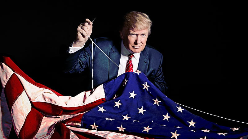 Donald Trump - Fixing America, Billionaire, USA, businessman, politician, Donald Trump, president, American, chairman, America, politics, President of the United States, US, HD wallpaper