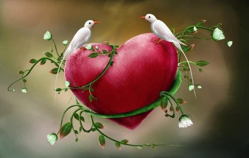 Love Birds, romance, birds, bonito, doves, bird, love, heart, flower,  flowers, HD wallpaper | Peakpx