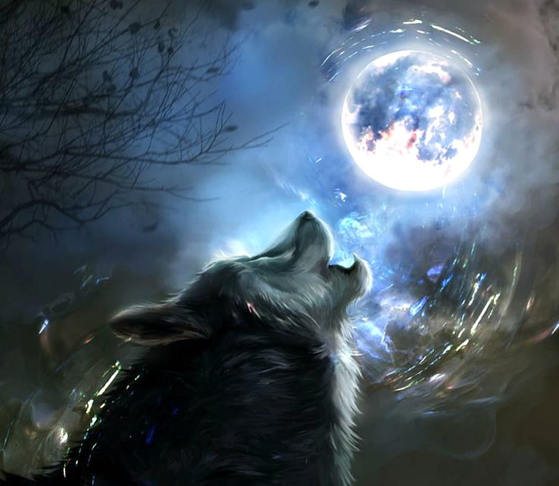 Calling, art, moon, luminos, madboni, fantasy, moon, lup, wolf, blue, HD wallpaper