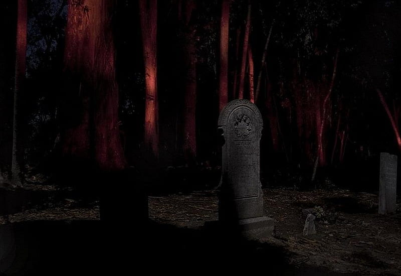 The Old Graveyard, graves, leaves, glow, woods, shadows, headstones, eerie, trees, HD wallpaper