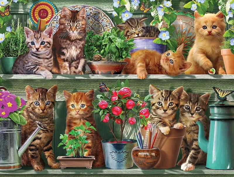 Spring Kittens, pencils, ruler, coffee pot, ball, flowers, shelves, Spring, wood, snail, ribbon, kittens, plates, butterflies, pots, watering can, plants, cats, HD wallpaper