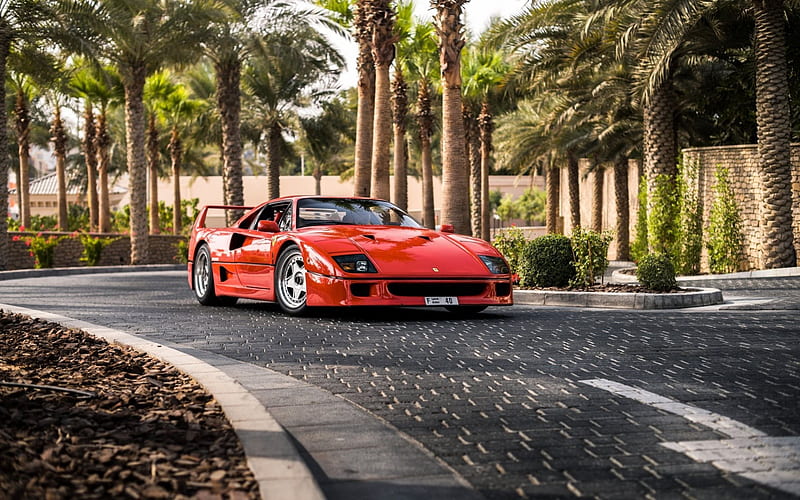Ferrari F40, sportcars, red f40, italian cars, road, supercars, Ferrari, HD wallpaper