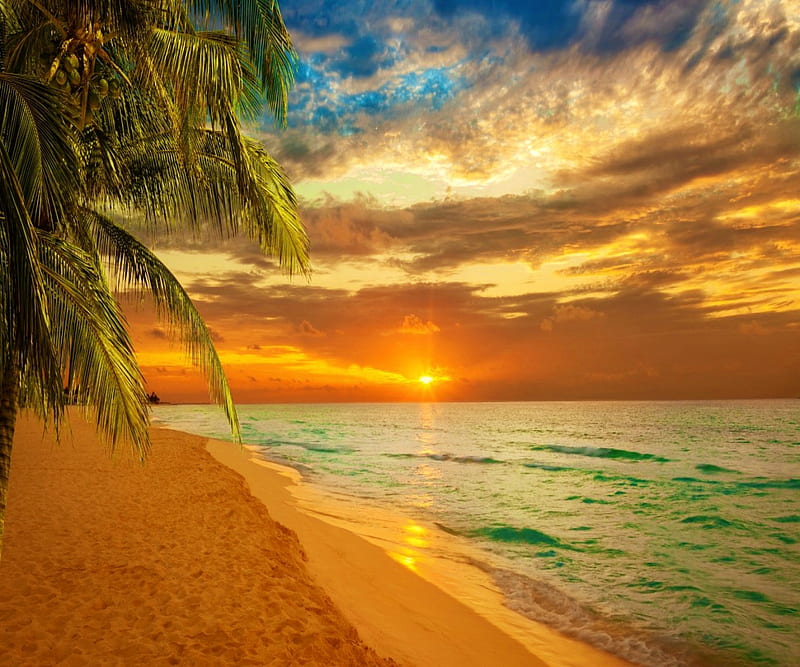 Beach Sunset, beaches, clouds, nature, oceans, sky, sunsets, HD ...