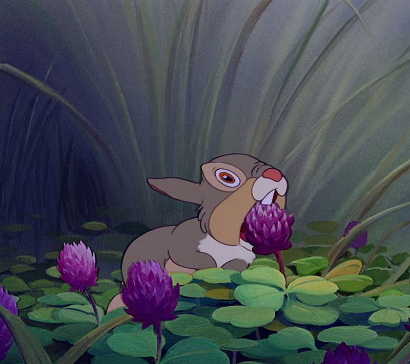 Thumper, bambi, bunny, disney, eating, flower, rabbit, HD wallpaper