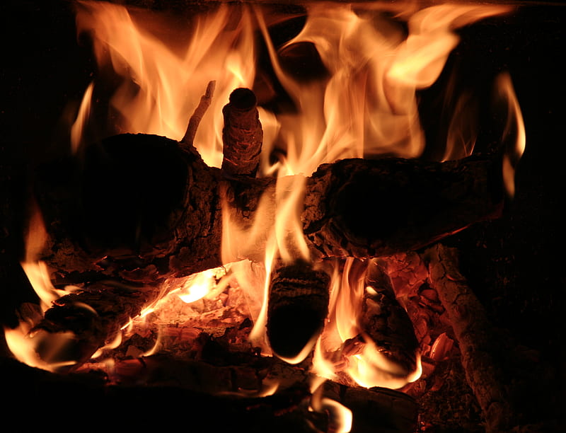bonfire, flame, fire, firewood, coals, burn, HD wallpaper