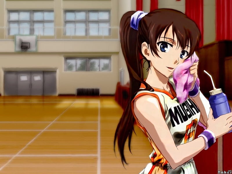 Anime Mini Basketball Hoop - Etsy