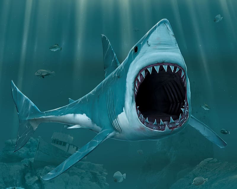 3D, Animal, Artistic, Fish, Shark, HD wallpaper