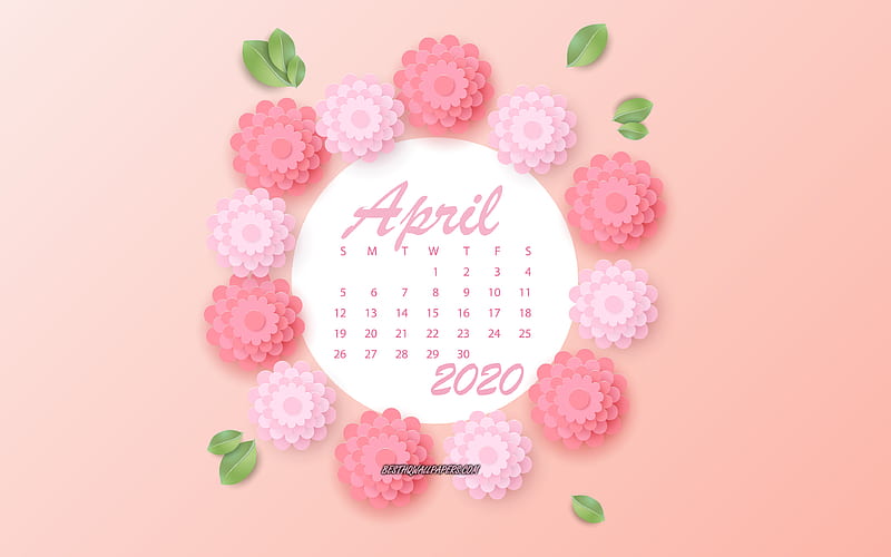March 2020 Calendar, pink flowers, March, 2020 spring calendars, 3d paper pink flowers, 2020 March Calendar, HD wallpaper
