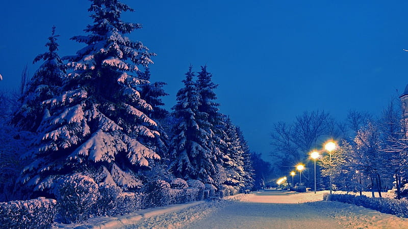 plowed street on a winter evening, lamps, evening, trees, street, lights, winter, HD wallpaper