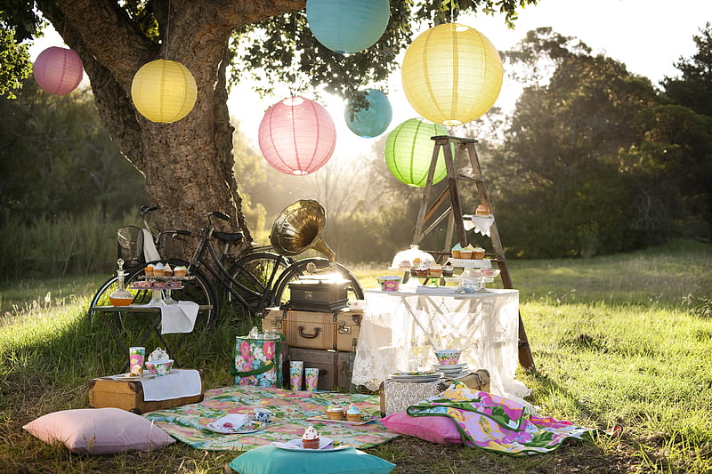 Picnic, pretty, sweets, lace, bicycle, bonito, trunks, sweet, graphy, nice, gramophone, party, beauty, harmony, table, lovely, food, drinks, colors, ladder, fun, trees, meadow grass, retro, cool, nature, cakes, pillows, HD wallpaper