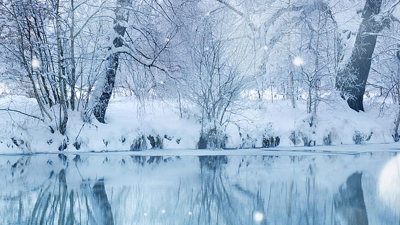 Frozen Lake Reflection, snow, ice, river, trees, lake, Firefox Persona theme, blue, winter, HD wallpaper