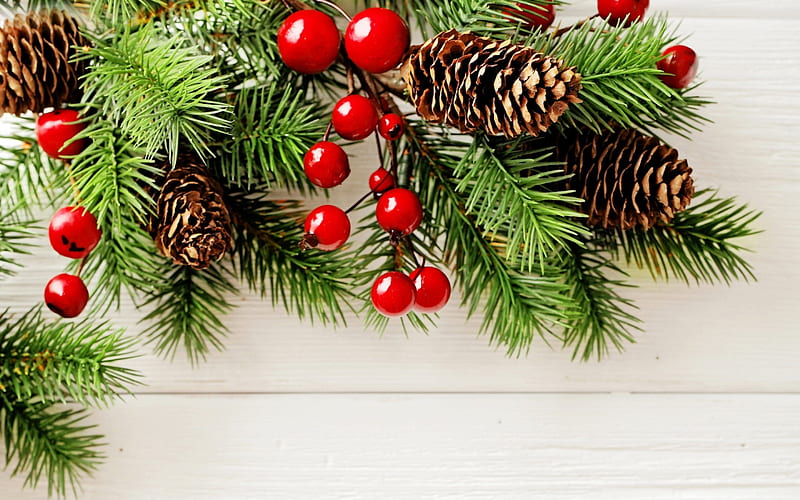 Happy Holidays!, red, craciun, christmas, card, needles, green, berry, cone pine, fir, white, HD wallpaper