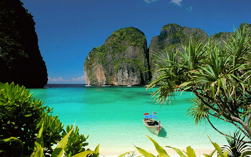 summer, nature, HD wallpaper summer, nature, HD wallpaper