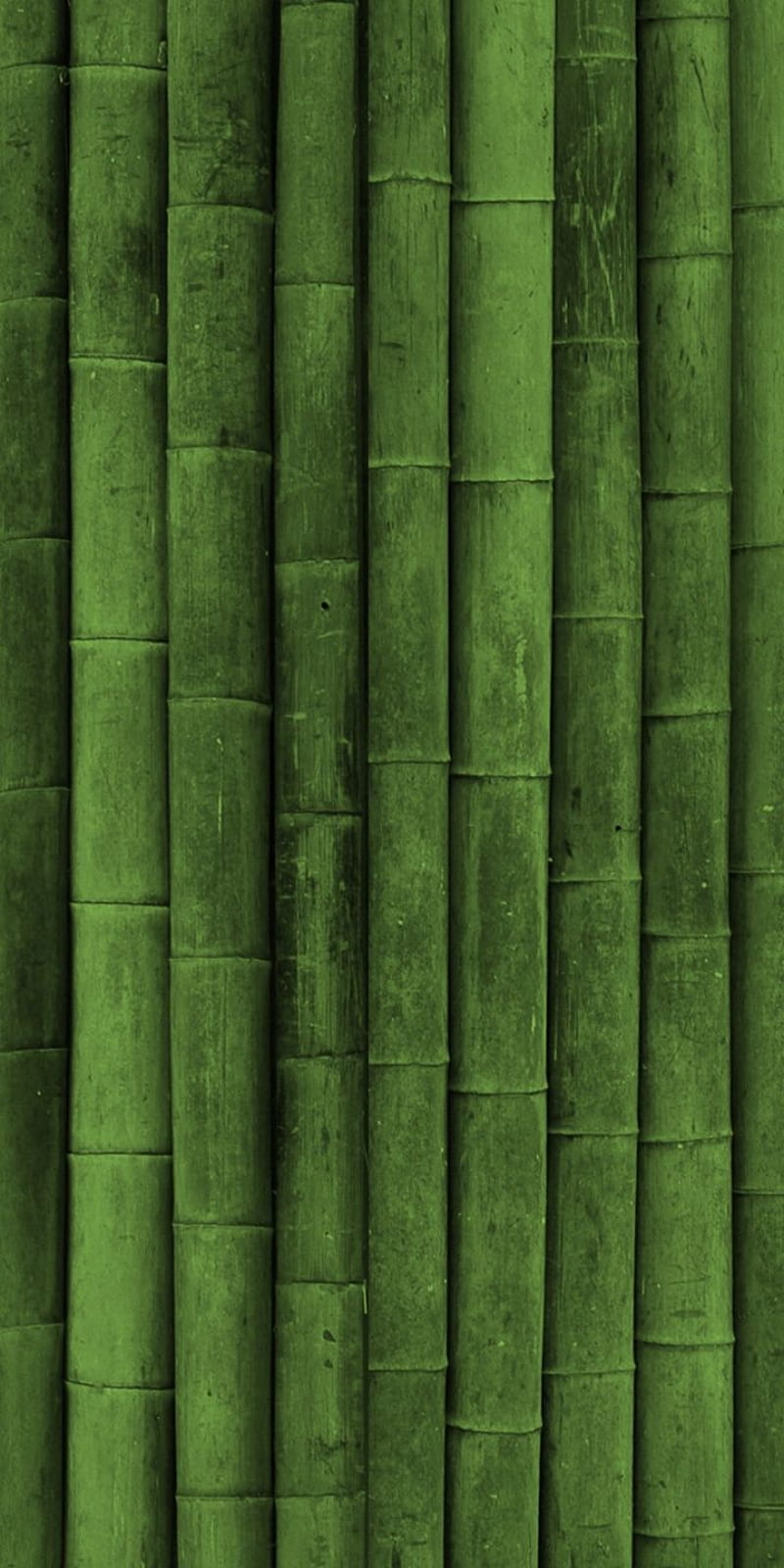 Bamboo Textures - []. Bamboo texture, iPhone green, Dark green, Dark Green Textured, HD phone wallpaper