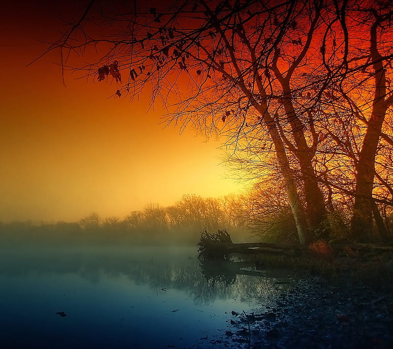 Gloomy Lake, morning, autumn, life, autumn , tree, HD wallpaper
