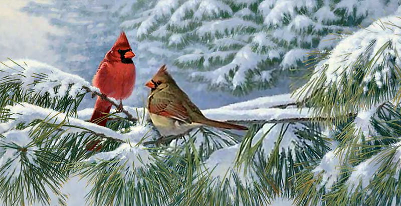 Winter Cardinals in the Snow F, art, songbirds, bonito, illustration, artwork, animal, winter, cardinals, bird, snow, avian, painting, wildlife, HD wallpaper